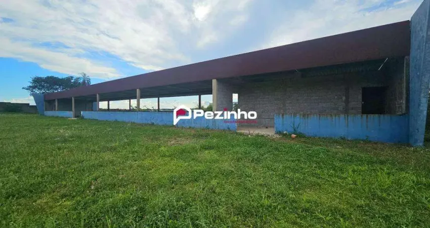 Barracão / Galpão / Depósito para alugar na Vila Conde do Pinhal, São Paulo