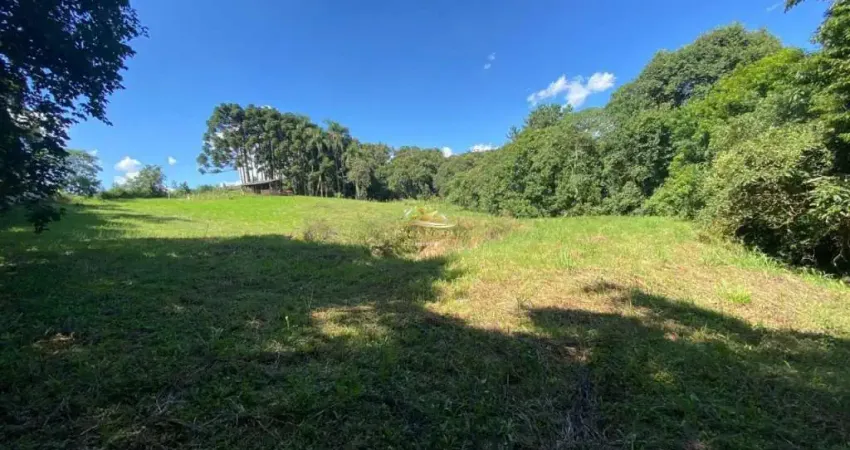 Chácara / sítio com 3 quartos à venda na Rua da Chapada, 1, Centro, Balsa Nova