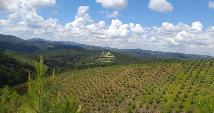 Chácara / sítio com 1 quarto à venda na Estrada Rural, 1, Centro, Campo Magro
