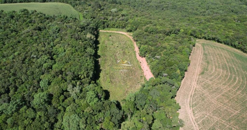 Chácara / sítio com 2 quartos à venda na dos Imigrantes, 4, Colônia Balbino Cunha, Campo Largo