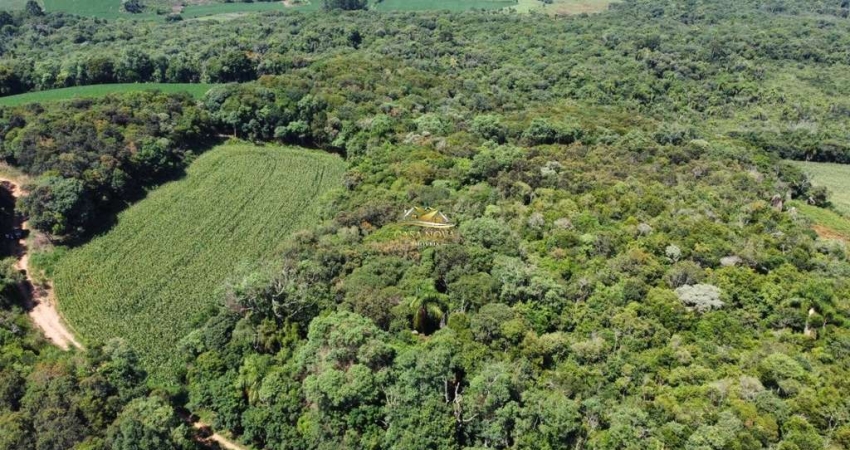Chácara / sítio com 1 quarto à venda na dos Imigrantes, 5, Colônia Balbino Cunha, Campo Largo