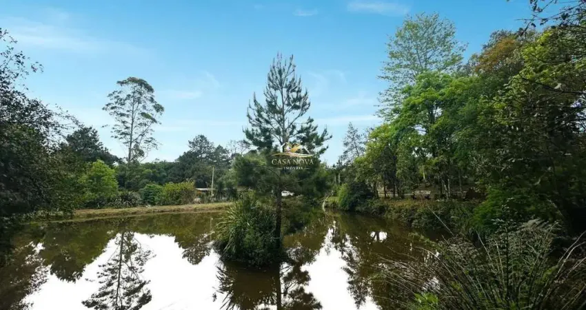 Chácara / sítio com 2 quartos à venda na Br-376, 2, Jardim Bela Vista, Campo Largo