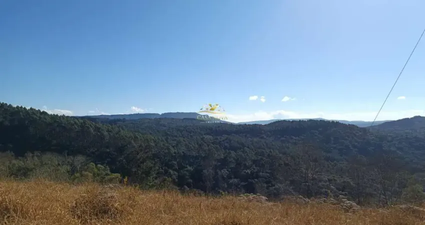 Chácara / sítio com 1 quarto à venda na Estrada Itambezinho, 4, São João do Povinho, Campo Largo