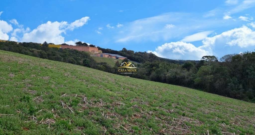 Terreno à venda na Travessa Francisco Lopes da Silva, 1, Botiatuva, Campo Largo