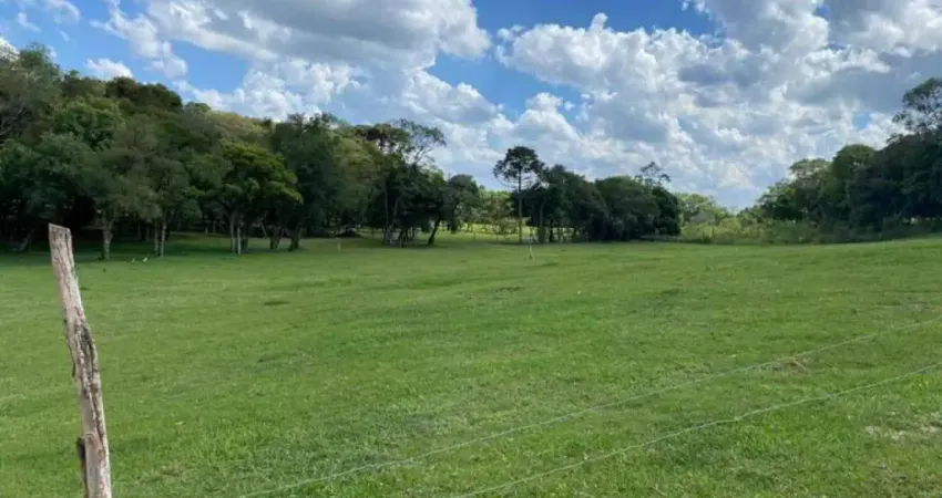 Terreno à venda na Rua Caetano Munhoz da Rocha, 1976, Ouro Verde, Campo Largo