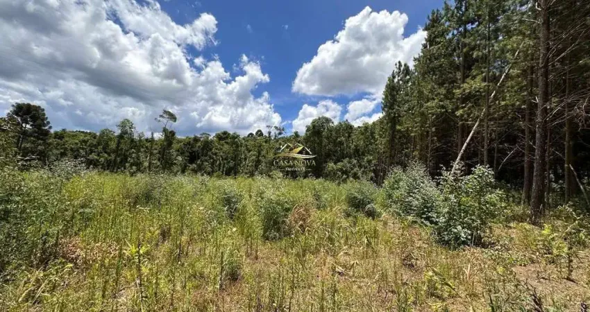 Chácara / sítio com 1 quarto à venda na Rua Ari de Lara Vaz, 1, Mato Dentro, Almirante Tamandaré