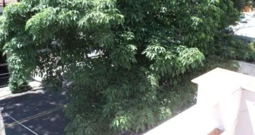 Casa com 3 quartos à venda na Rua Salvador Corrêa, 164, Aclimação, São Paulo