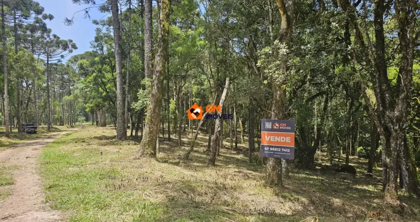 Terreno em avenquinha — campo alegre/sc tipo bosque com fácil acesso