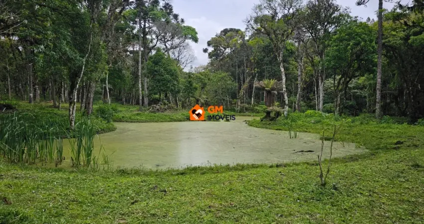 Lindo terreno rural em campo alegre - sc com riacho, tanques e muita natureza