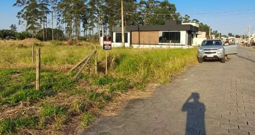 Terreno à venda na Rodovia Valmiro Manoel Gonçalves, Lagoa da Serra, Araranguá