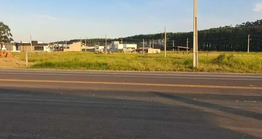 Terreno à venda na Rodovia Valmiro Manoel Gonçalves, Lagoa da Serra, Araranguá