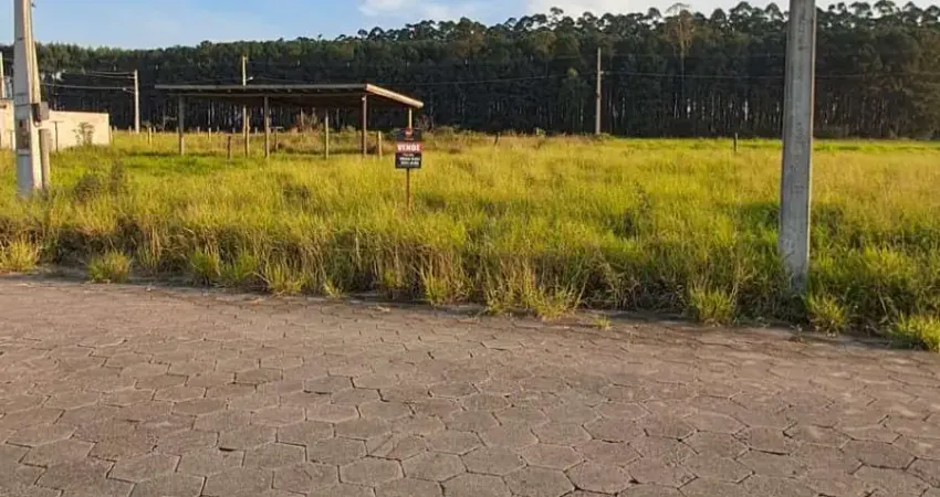 Terreno à venda na Rodovia Valmiro Manoel Gonçalves, Lagoa da Serra, Araranguá
