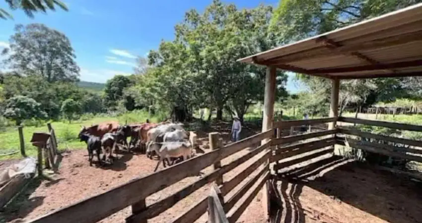 Chácara / sítio com 3 quartos à venda na Área Rural de Agudos, Agudos