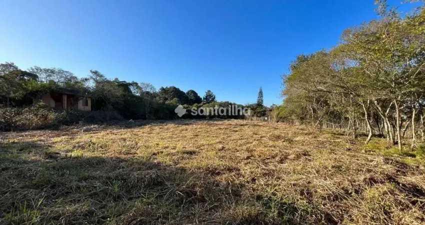 Terreno comercial para alugar na Rua Pau de Canela, 1134, Rio Tavares, Florianópolis