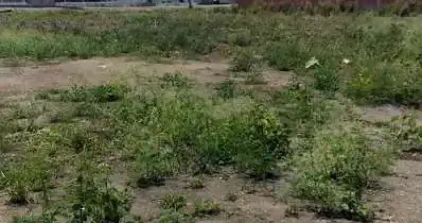 Terreno à venda na vila da rainha – próximo à uenf e cepop, com 450m² e escritura - campos dos goyt