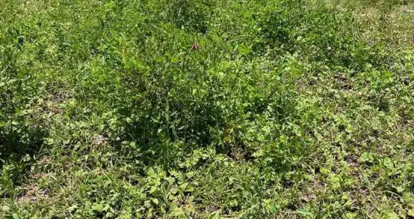 Terreno de 360m² à venda no condomínio cidade nova – cajueiro | excelente localização - são joão da