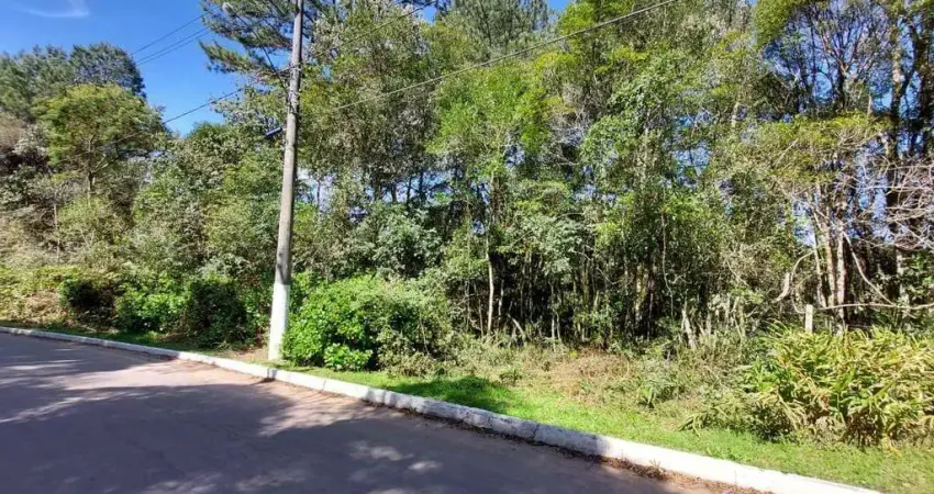 Terreno à venda no São Bernardo, São Francisco de Paula