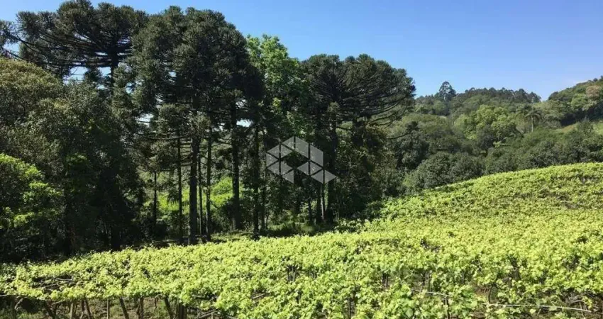 Terreno à venda no Desvio Rizzo, Caxias do Sul