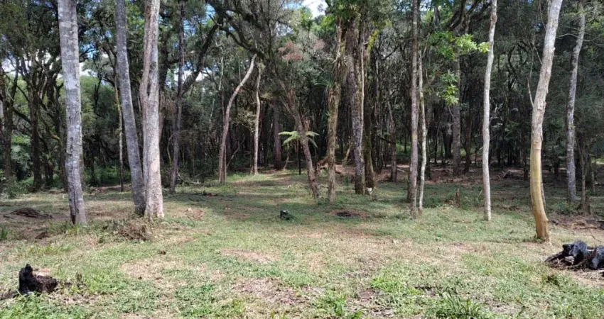 Chácara / sítio à venda na Rua João Kosiak, São Marcos, São José dos Pinhais