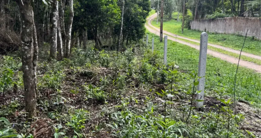Chácara / sítio à venda na Colônia Murici, São José dos Pinhais