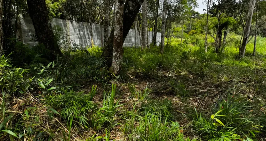 Chácara / sítio à venda no Campo Largo da Roseira, São José dos Pinhais