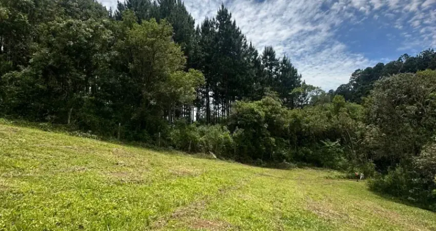 Chácara / sítio à venda na Colônia Murici, São José dos Pinhais 