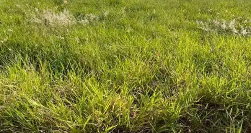 Terreno à venda no Centro de Cravinhos-SP com 160m² de área! Aproveite essa oportunidade única!