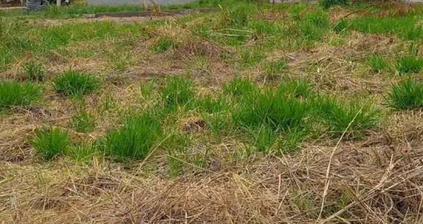 Terreno à venda em ribeirão preto-sp, quinta da mata, 250m². localizado no villas do mirante vale verde!