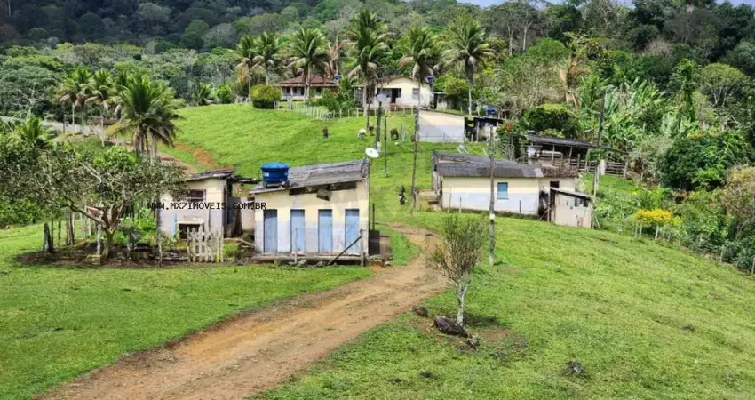 Fazenda à venda na Zona Rural, Ubaitaba 