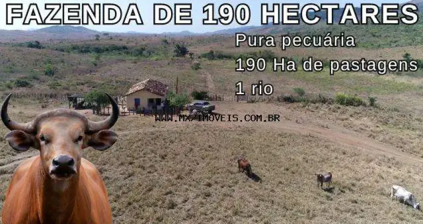 Fazenda à venda na Zona Rural, Ibicuí 