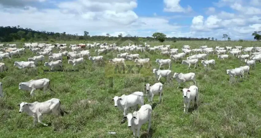 Fazenda para Venda em Itarantim, Abrantes, 4 dormitórios, 2 banheiros