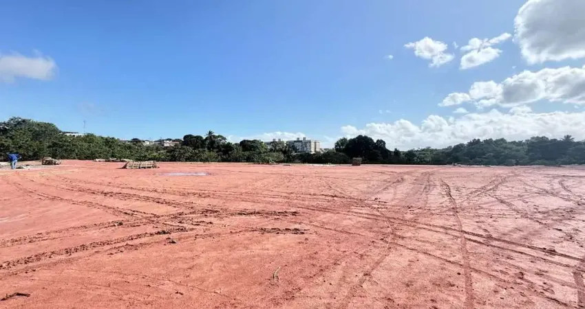 Terreno comercial de 25.000m² à venda em jardim limoeiro, serra-es: a oportunidade que você procurava!