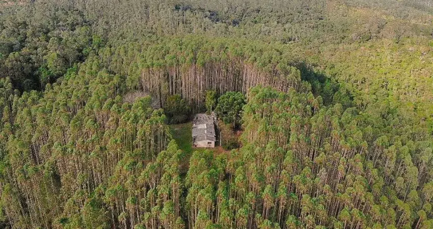 Sítio com 2 dormitórios à venda, 190000 m² por r$ 870.000,00 - vila elvio - piedade/sp