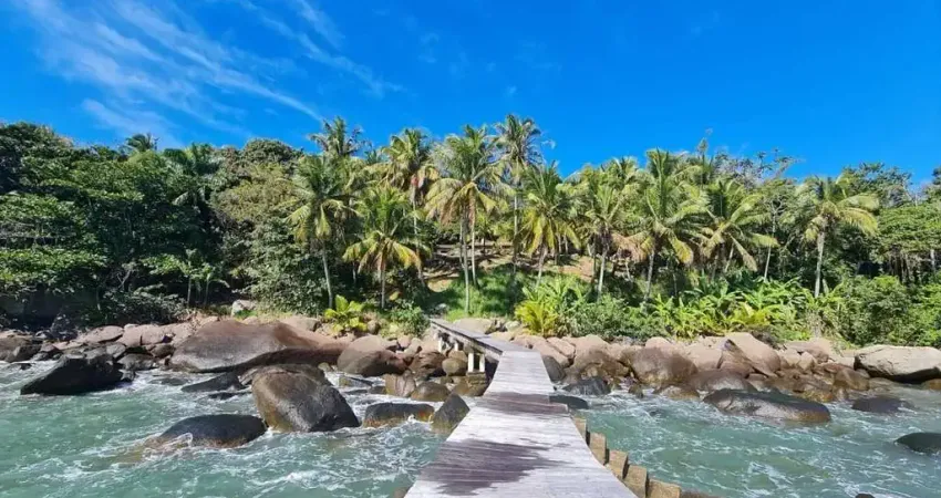 Casa com 6 quartos para alugar no Veloso, Ilhabela