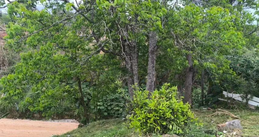 Ótimo terreno para construir ou investir em localização privilegiada