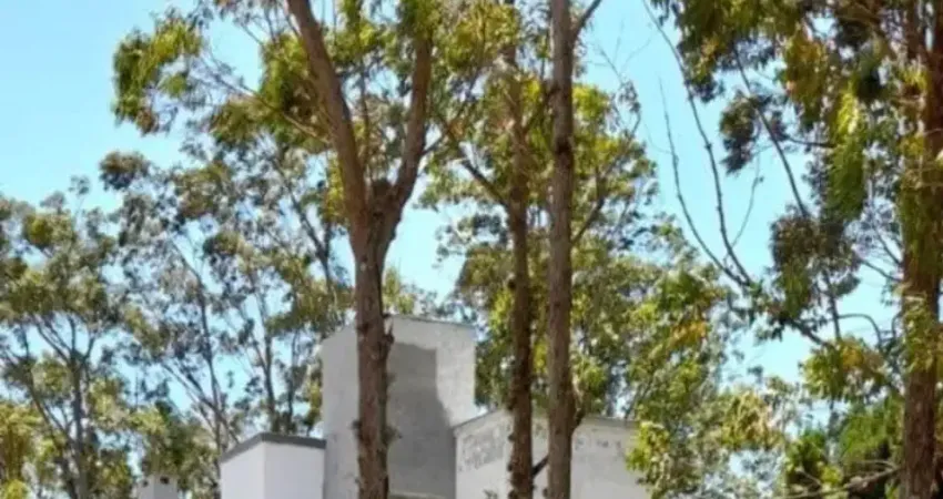 Casa com 2 quartos à venda na Praia da Lagoinha, Florianópolis 