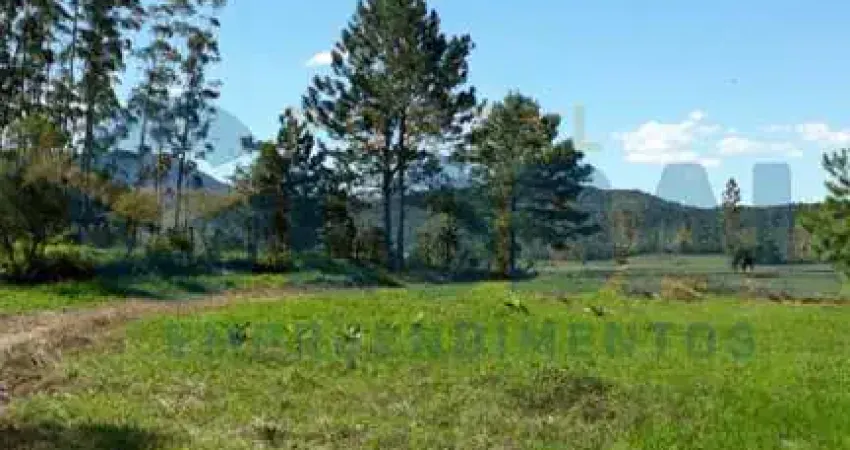 Chácara / sítio com 2 quartos à venda no Centro, Morro Grande