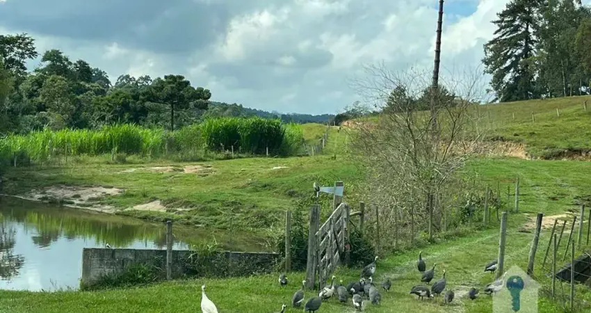 Sítio com 3 suítes à venda, 230000 m² por R$ 1.000.000 - Zona Rural - Guapiara/SP