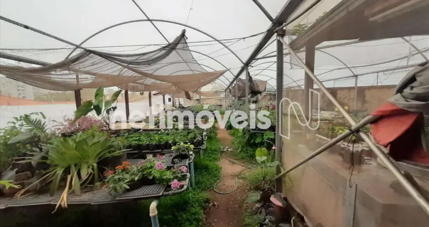 Terreno à venda no São José, Belo Horizonte