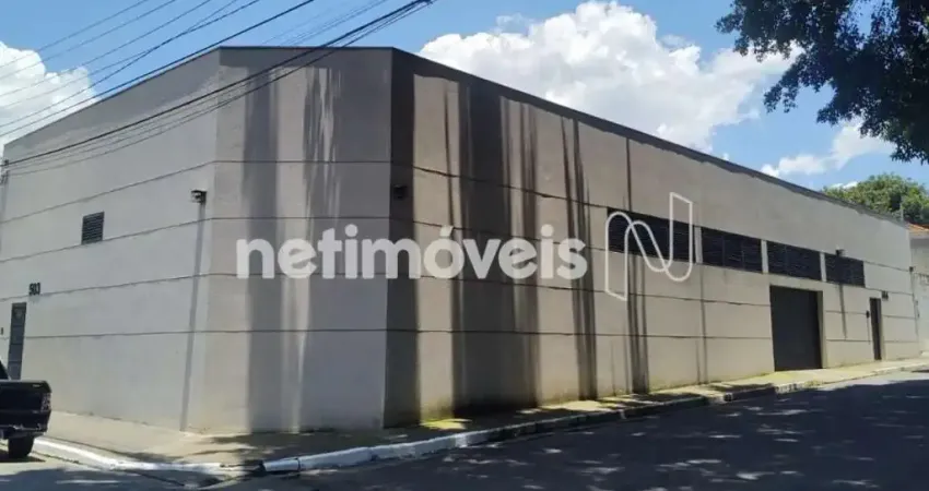 Barracão / Galpão / Depósito à venda na Rua Toninhas, 503, Vila Gea, São Paulo