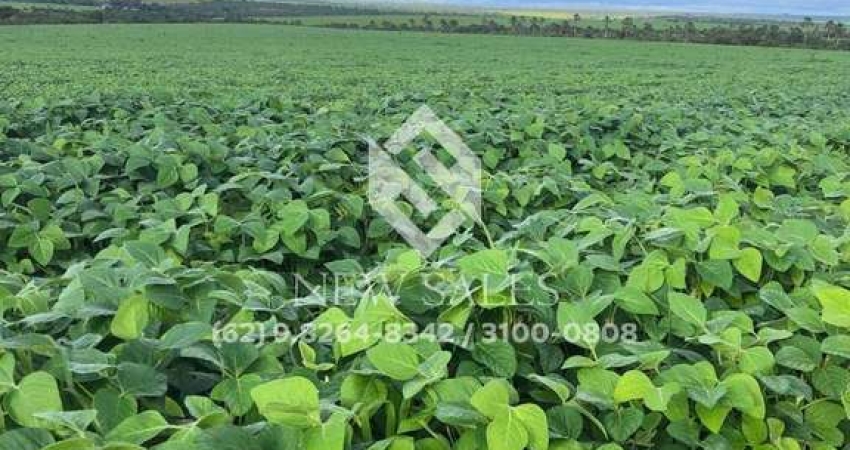 Fazenda de Oportunidade em Jataí-GO! 80 Alqueires !