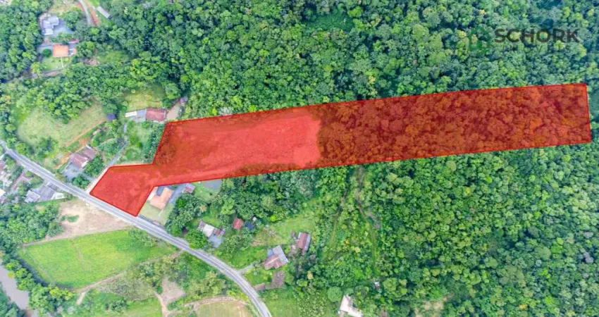 Terreno à venda, 49549 m² por r$ 4.500.000,00 - testo salto - blumenau/sc