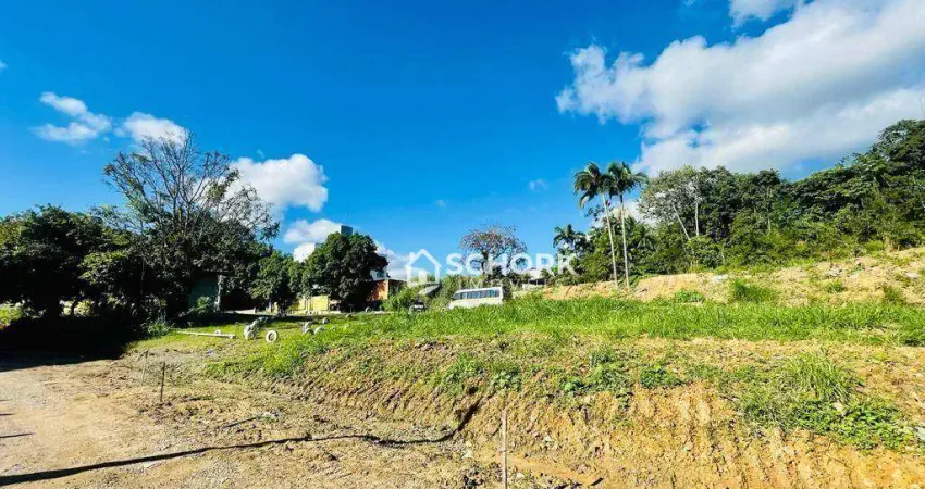 Terreno à venda, 4509 m² por R$ 4.000.000,00 - Velha - Blumenau/SC