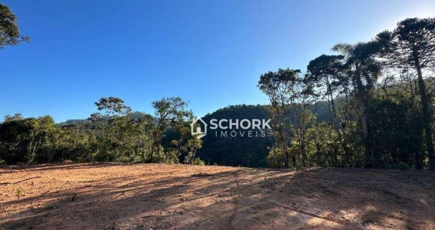 Sítio à venda, 20100 m² por R$ 199.000,00 - Liberdade  - Benedito Novo/SC