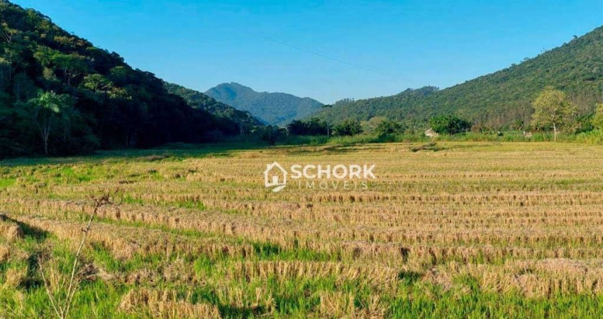 Sítio à venda, 167800 m² por R$ 1.100.000,00 - Guaricanas II - Ascurra/SC