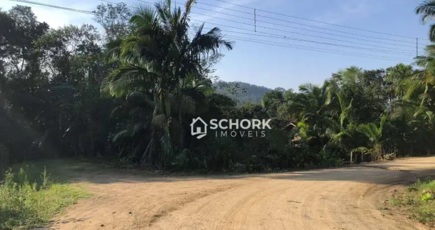 Terreno à venda, 3674 m² por R$ 729.000,00 - Fidélis - Blumenau/SC