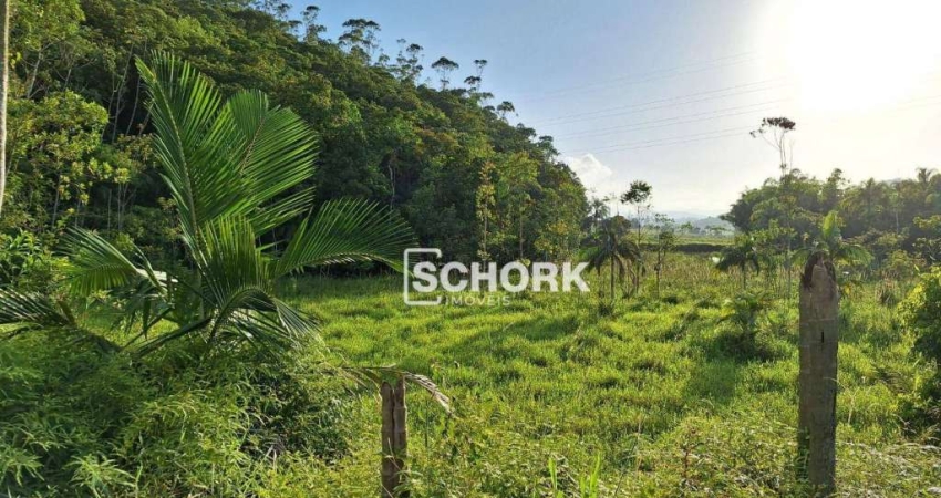 Sítio com 5 dormitórios à venda, 93027 m² por R$ 990.000,00 - Saxônia - Ascurra/SC