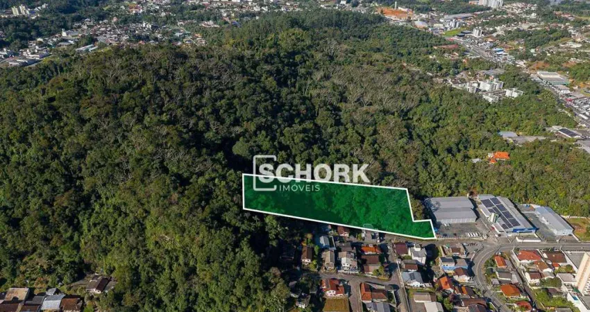 Terreno à venda, 10921 m² por r$ 1.000.000,00 - badenfurt - blumenau/sc
