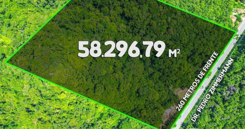 Terreno à venda, 58296 m² por R$ 750.000,00 - Itoupava Central - Blumenau/SC