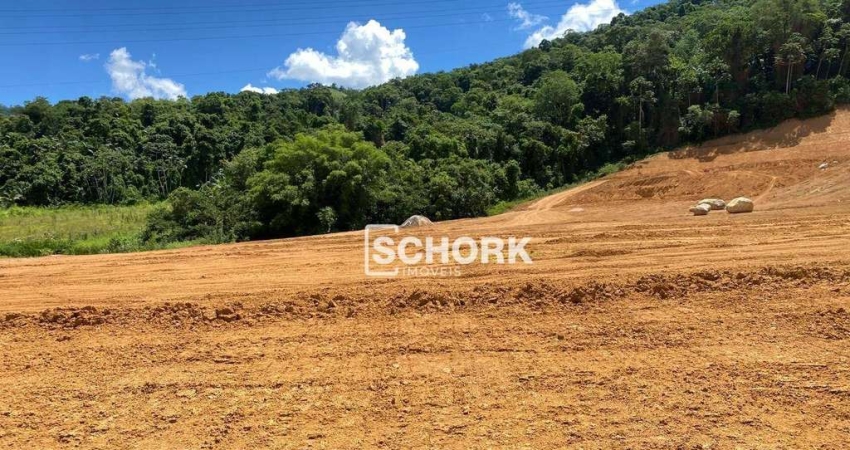 Terreno à venda, 2132 m² por R$ 773.726,42 - Estradinha - Indaial/SC